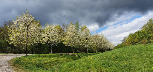 Halde General Blumenthal I/II/VI - Thumbnail
