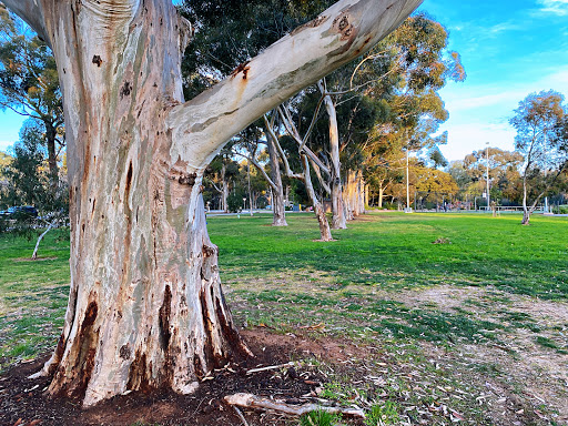 Adelaide Parklands (Park 19) - Thumbnail