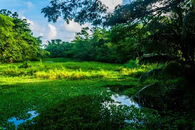 Photos of Body Ponds Nature Park