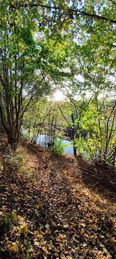 Veendam Borgerswold - Thumbnail