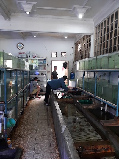 pet-store