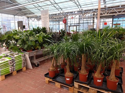 Photos of Plantagen