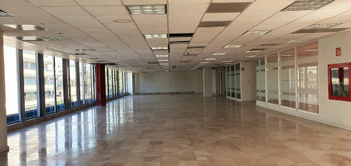 Presidente Masaryk 219 Oficinas en renta Polanco CDMX - Thumbnail