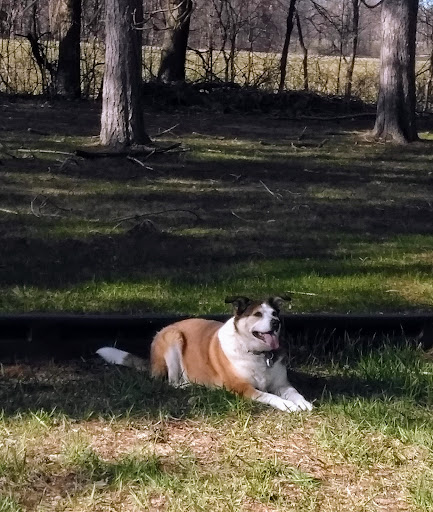 Greenwood County Park & Campground - Thumbnail