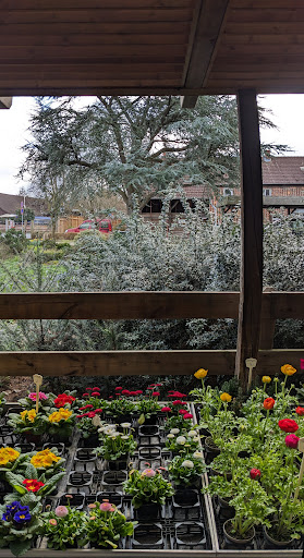 Plagges Blumenladen - Thumbnail