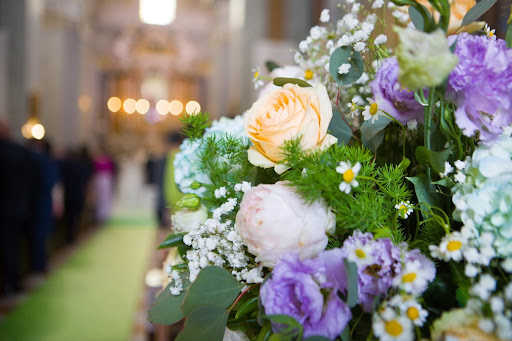 Vflowers - Visual