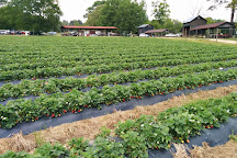 Waller Family Farm, Durham, United States