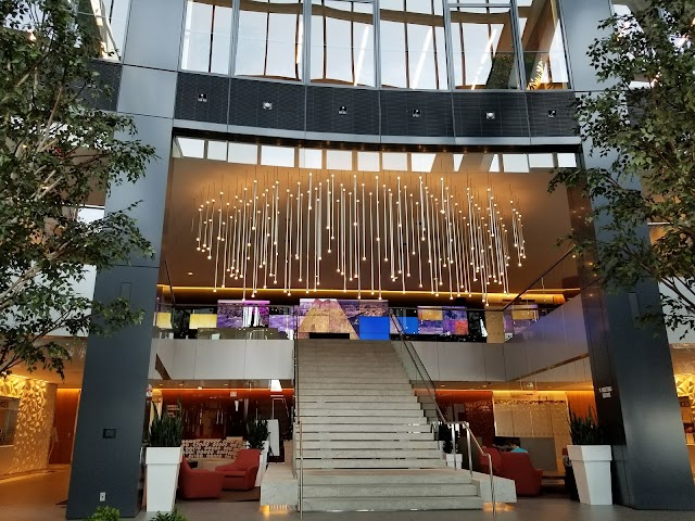 The Bow