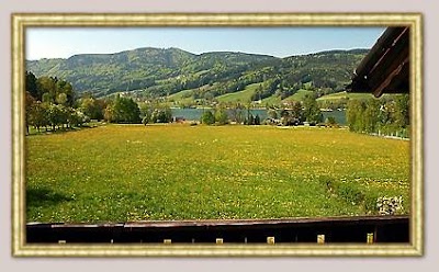 Photos of Gasthof zum Seewirt