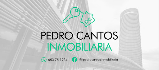 Pedro Cantos Inmobiliaria