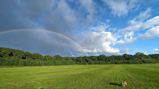 Nunnery Wood Sports Complex - Thumbnail