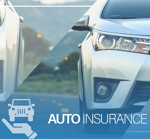 Bermudx Insurance - Thumbnail