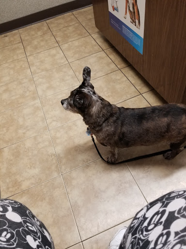 Cimarron Animal Hospital - Thumbnail