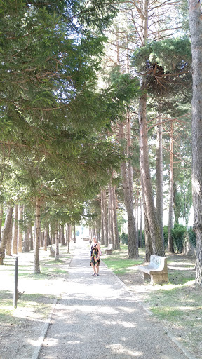Parque Skate - Visual