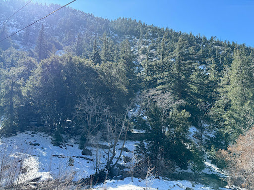Mt Baldy Visitor Center - Thumbnail