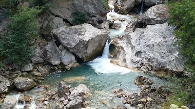 Photos of Ritsa Relict National Park