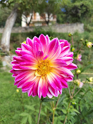 Photo n°12 de L'Amistous à Vallouise-Pelvoux (Restaurant familial)