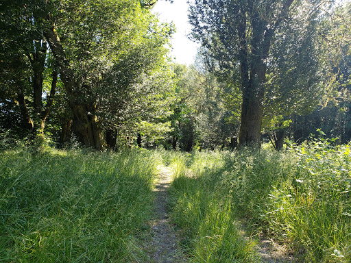 Bennett County Park - Visual