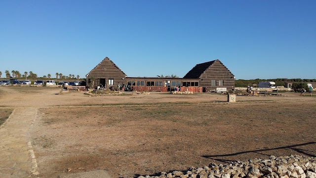 Spiaggia di Is Arutas (Is Arrutas)