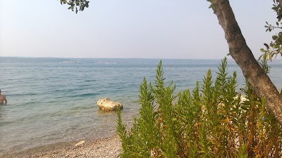 Photos of Apartments Marija - Maslenica