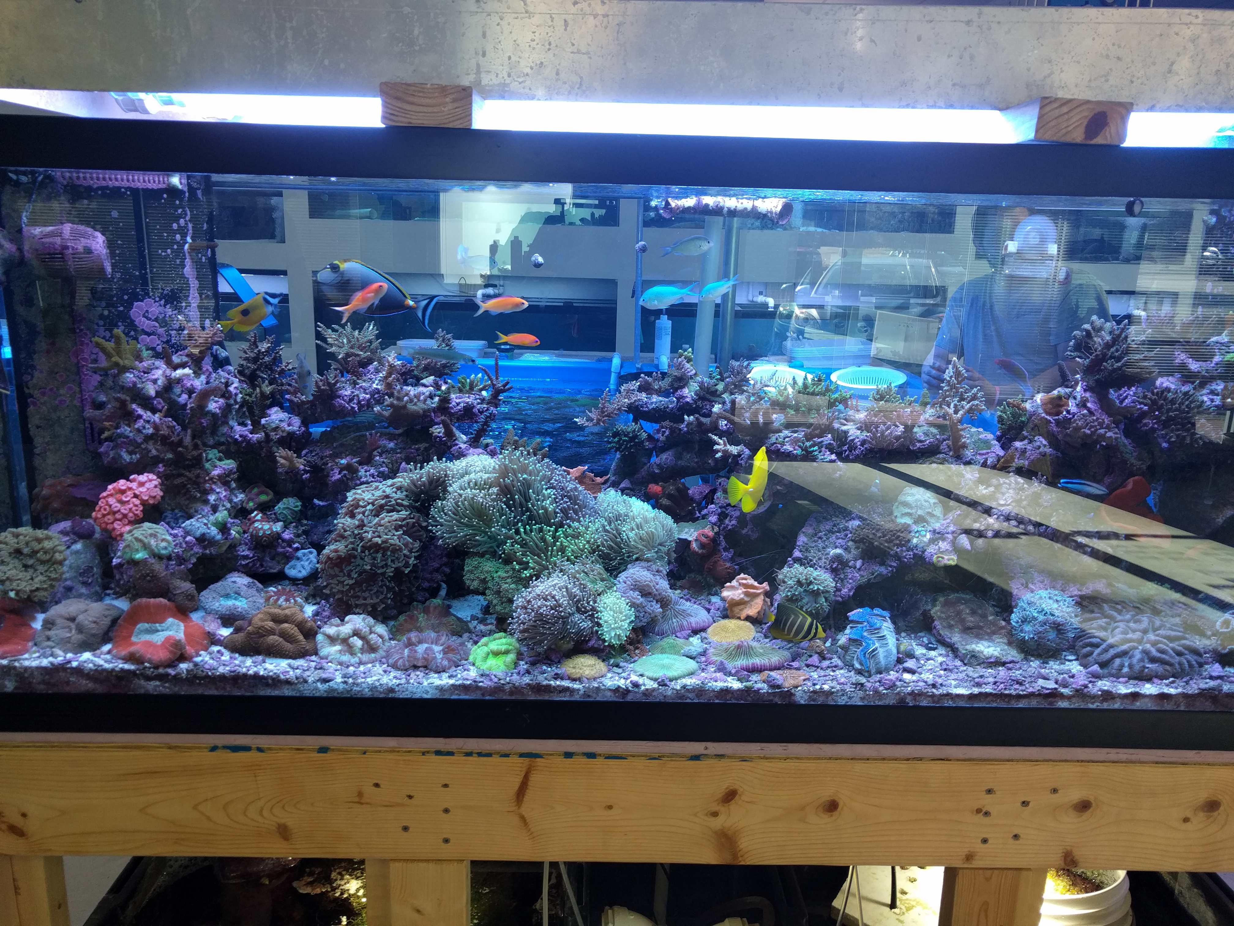 Fintastic Aquariums of Wake County Inc