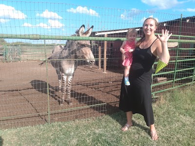 mesquite tree hill ranch and zoo