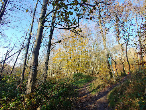 Auf der Humpfert
