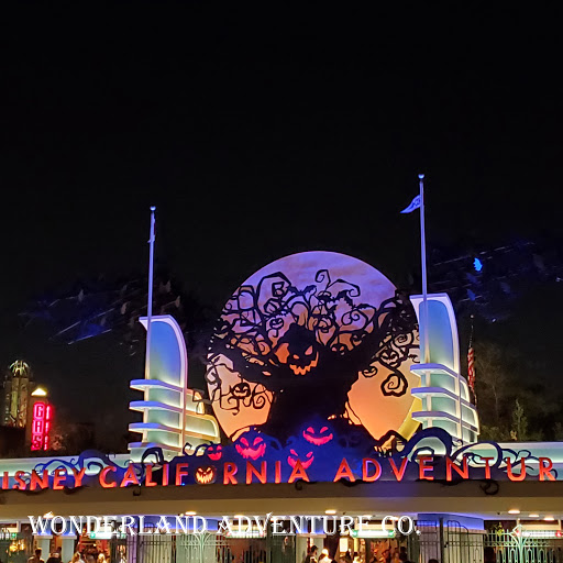 Wonderland Adventure Co. - Thumbnail