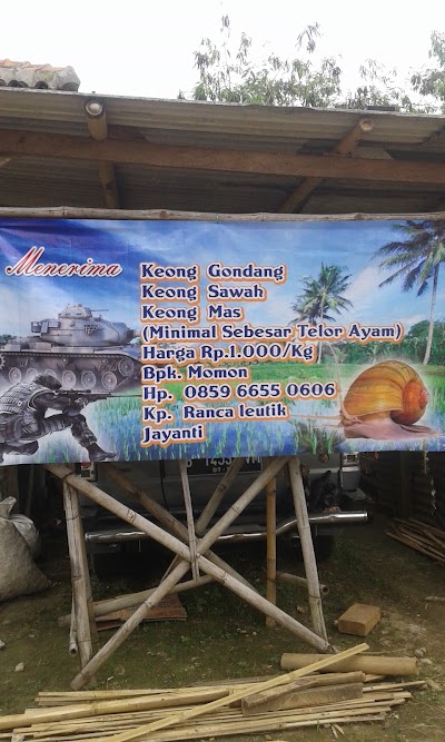 Photos of Pengepul Keong