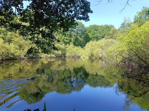 Forêt Domaniale de Rambouillet - Thumbnail