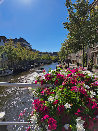 Rotsvast Leiden Gallery - Netherlands