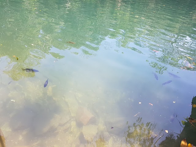 Berry Springs Waterhole