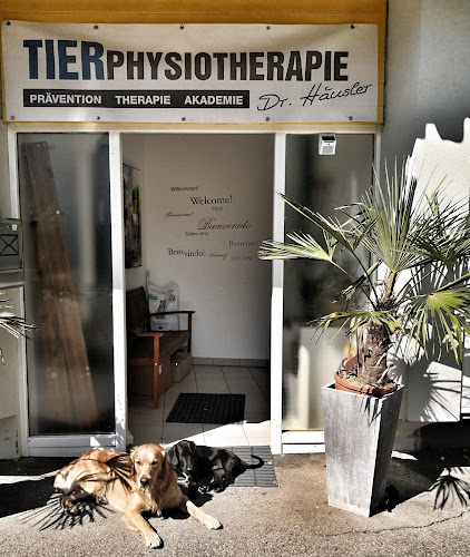 Tierphysiotherapie Dr. Häusler & Team