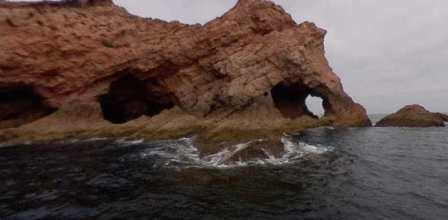 Avaliações doReserva Natural das Berlengas em Peniche - Loja de produtos naturais