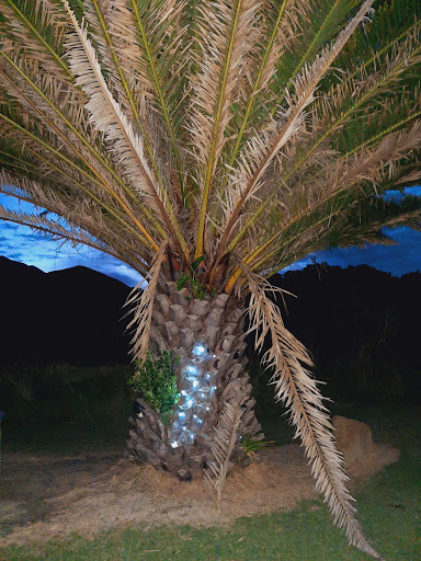 Blackhead Beach Camping Ground - Thumbnail