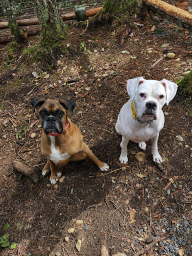 Mid-Isle Veterinary Hospital - Thumbnail
