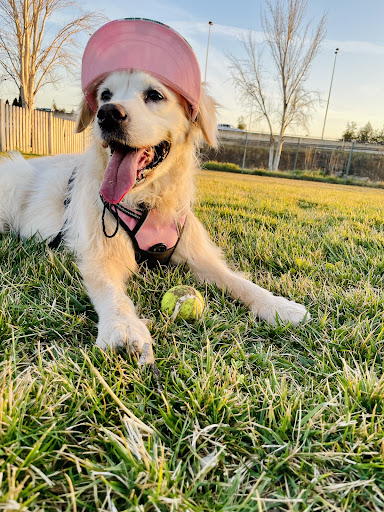 Centro Veterinario Zarabanda