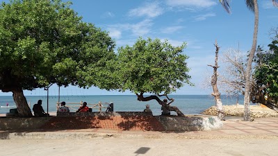 Photos of Muelle Turistico de Tolu