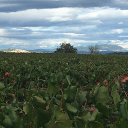 Photo n°9 de Culturiosity - Excursions guidées à Cardet (Agence de visites touristiques)