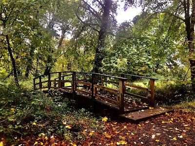 Marys River Park