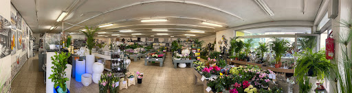 Grüner Laden Gelsenkirchen - Thumbnail