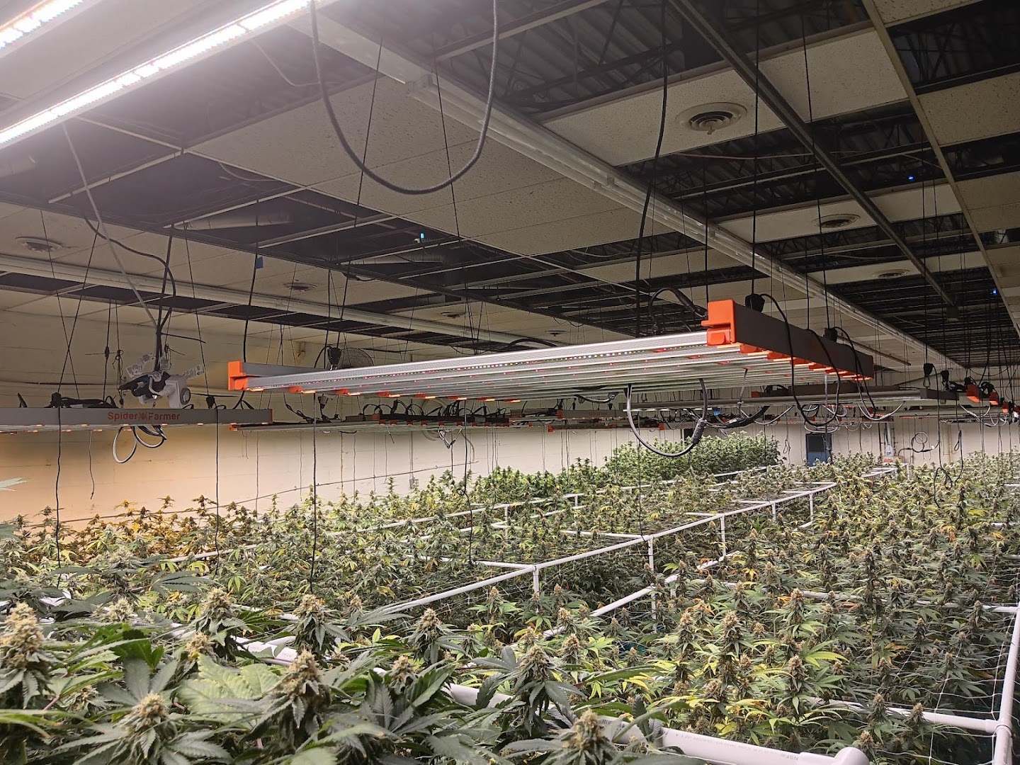 Roc Dispensary and hydroponics photo 3