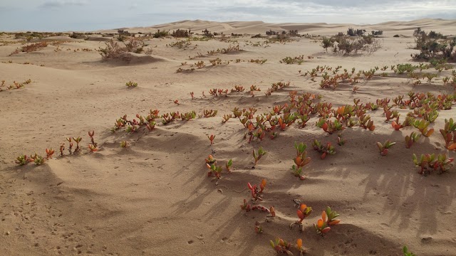 Parc National de Khenifiss