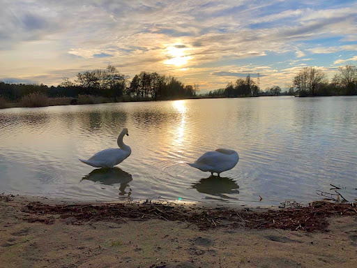 Strandbar Niederwiesenweiher - Thumbnail