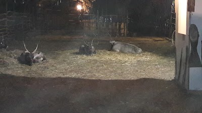Photos of SUN'S ROYAL PARK