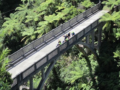 Photos of Whanganui River Canoes