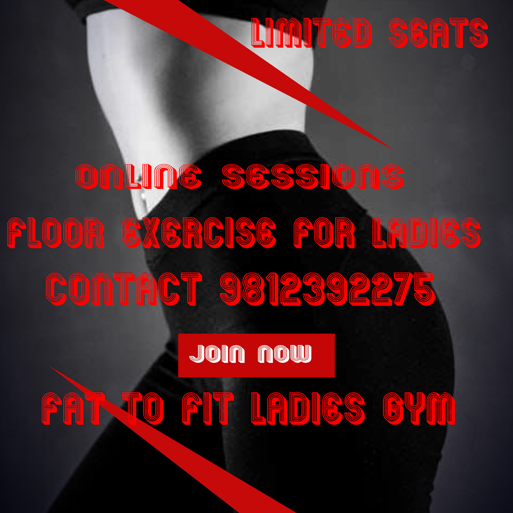 Fat 2 Fit Ladies Gym Zumba And Aerobics