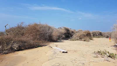 Photos of Dreamspot Ecolodge