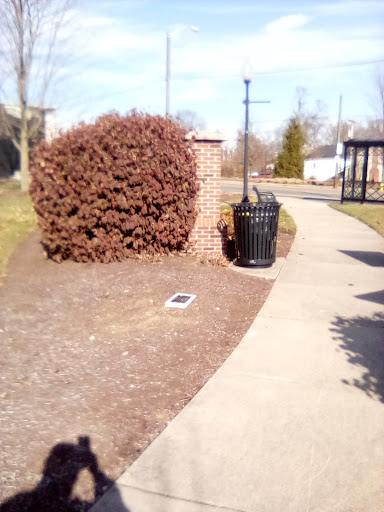 ZAPP Park - Visual
