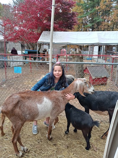 Carriage Shack Farm